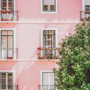 Op de afbeelding: Een roze gebouw met witte afwerking en groene ramen. Het gebouw heeft balkons met smeedijzeren leuningen. Er staat een boom voor het gebouw.