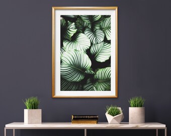 Arte de la pared de la hoja tropical, decoración de la pared tropical, arte de la hoja verde, fotografía de la naturaleza, impresión botánica, arte de la naturaleza, impresión botánica digital