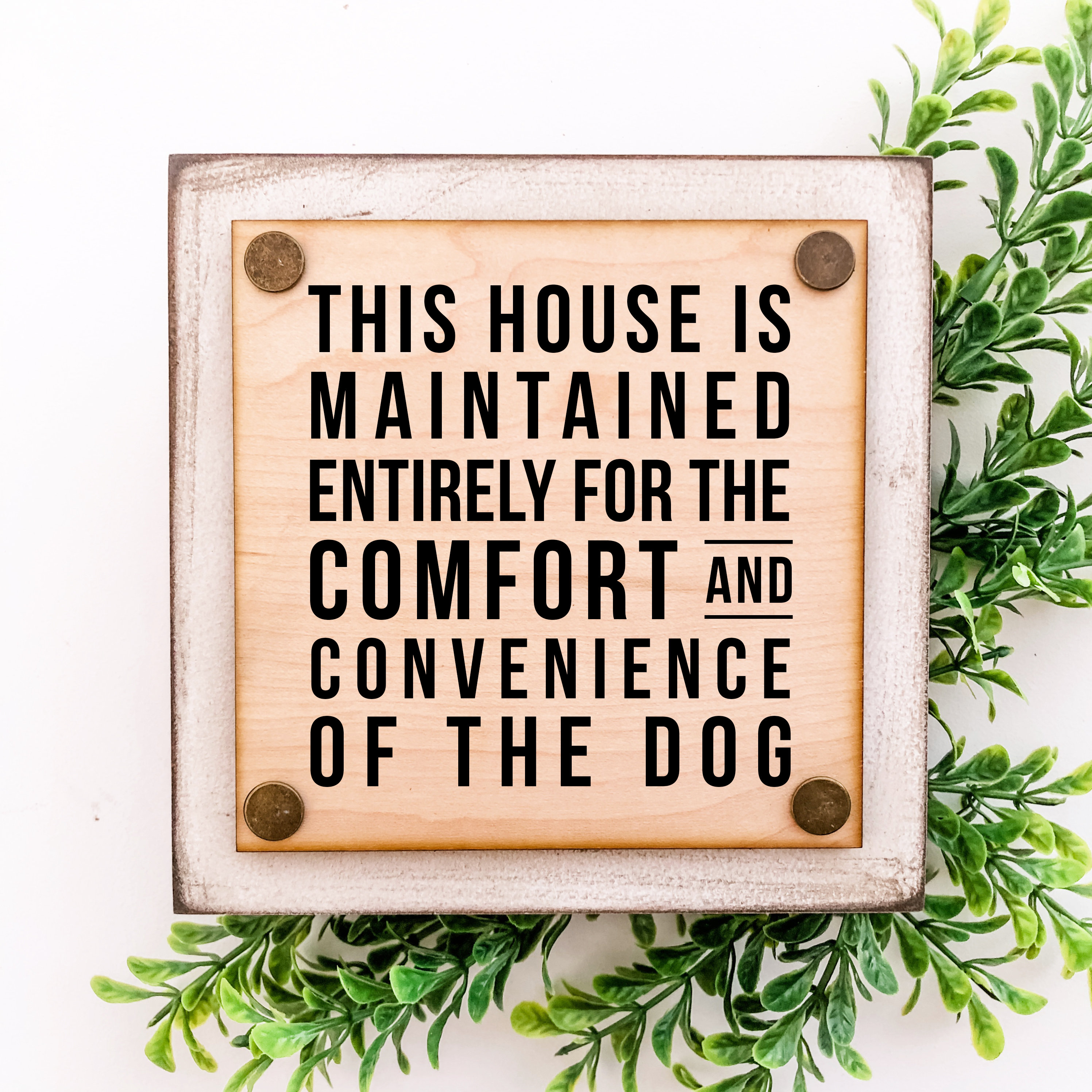 Funny Pet Sign Funny Dog Quote Dog Lover Sign Signs for Etsy
