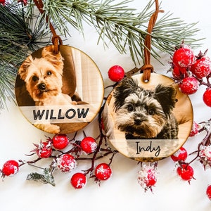 Pet Ornament, Personalized Pet Ornament, Christmas Ornaments, Personalized Ornament, Custom Christmas Ornament, Stocking Stuffer Ideas
