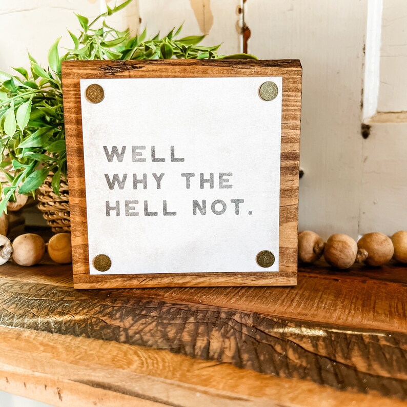 Funny Mini Signs, Funny Home Decor, Funny Tiered Tray Signs, Funny Quote Sign, Mancave Signs, Funny Gift Ideas, Work Desk Decor, Funny Sign Why the Hell Not