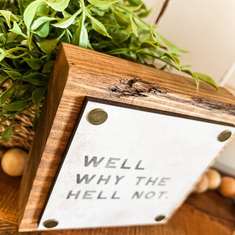 Funny Mini Signs, Funny Home Decor, Funny Tiered Tray Signs, Funny Quote Sign, Mancave Signs, Funny Gift Ideas, Work Desk Decor, Funny Sign image 8