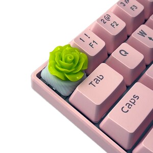 Pu&ograve; includere: Una tastiera meccanica rosa con un copritasto a forma di rosa verde. La tastiera ha tasti etichettati "Tab", "Caps", "Q", "W", "F1", "F2", "F3", "2@", "1!" e "3#".