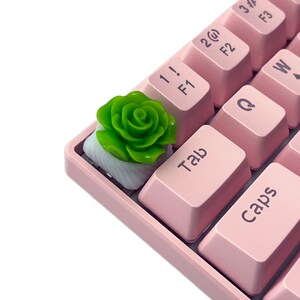 Pu&ograve; includere: Un copritasto a forma di rosa verde per una tastiera meccanica rosa. Il copritasto &egrave; una sostituzione per il tasto "Tab".