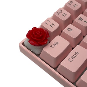 Pu&ograve; includere: Una tastiera rosa con un copritasto a forma di rosa rossa. La tastiera ha tasti etichettati "Tab", "Caps", "Q", "W", "F1", "F2", "F3", "2@", "3#" e "1!".