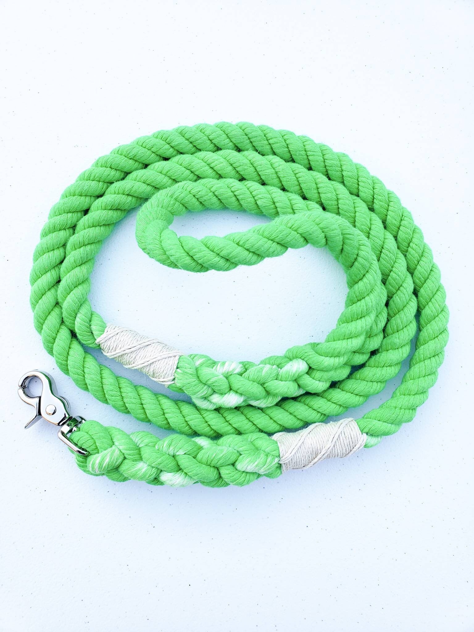 brighton dog collar