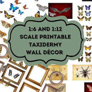 Könnte beinhalten: Eine Sammlung von druckbaren Wanddekorationen im Stil der Taxidermie im Maßstab 1:6 und 1:12. Die Bilder zeigen Schmetterlinge, Fledermäuse, Spinnen und Käfer. Die Bilder sind in goldenen Rahmen gerahmt.