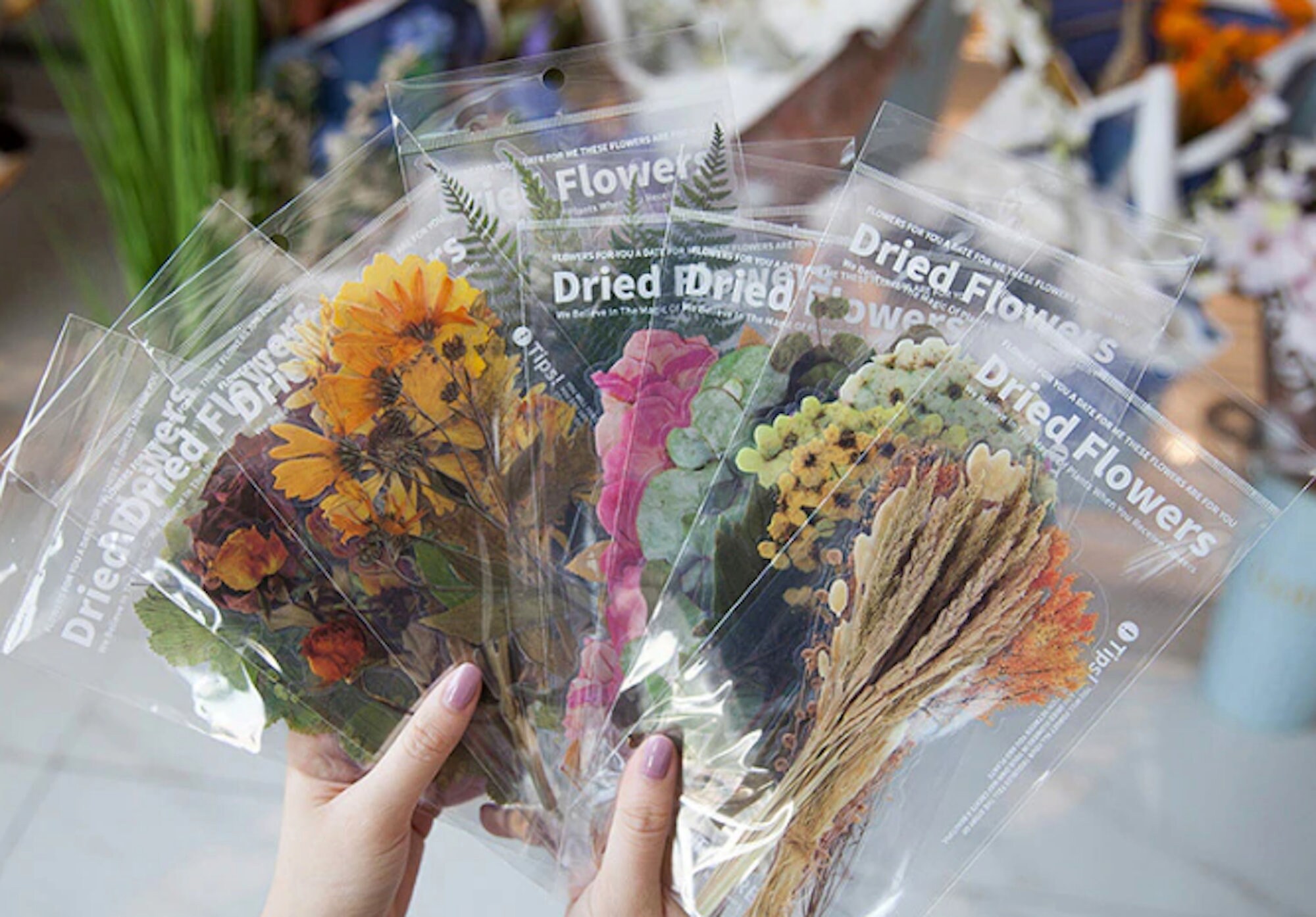 6pc Pressed Flowers Stickers - Large Premium Clear Stickers with Colorful  Lifelike Dried Flower Designs