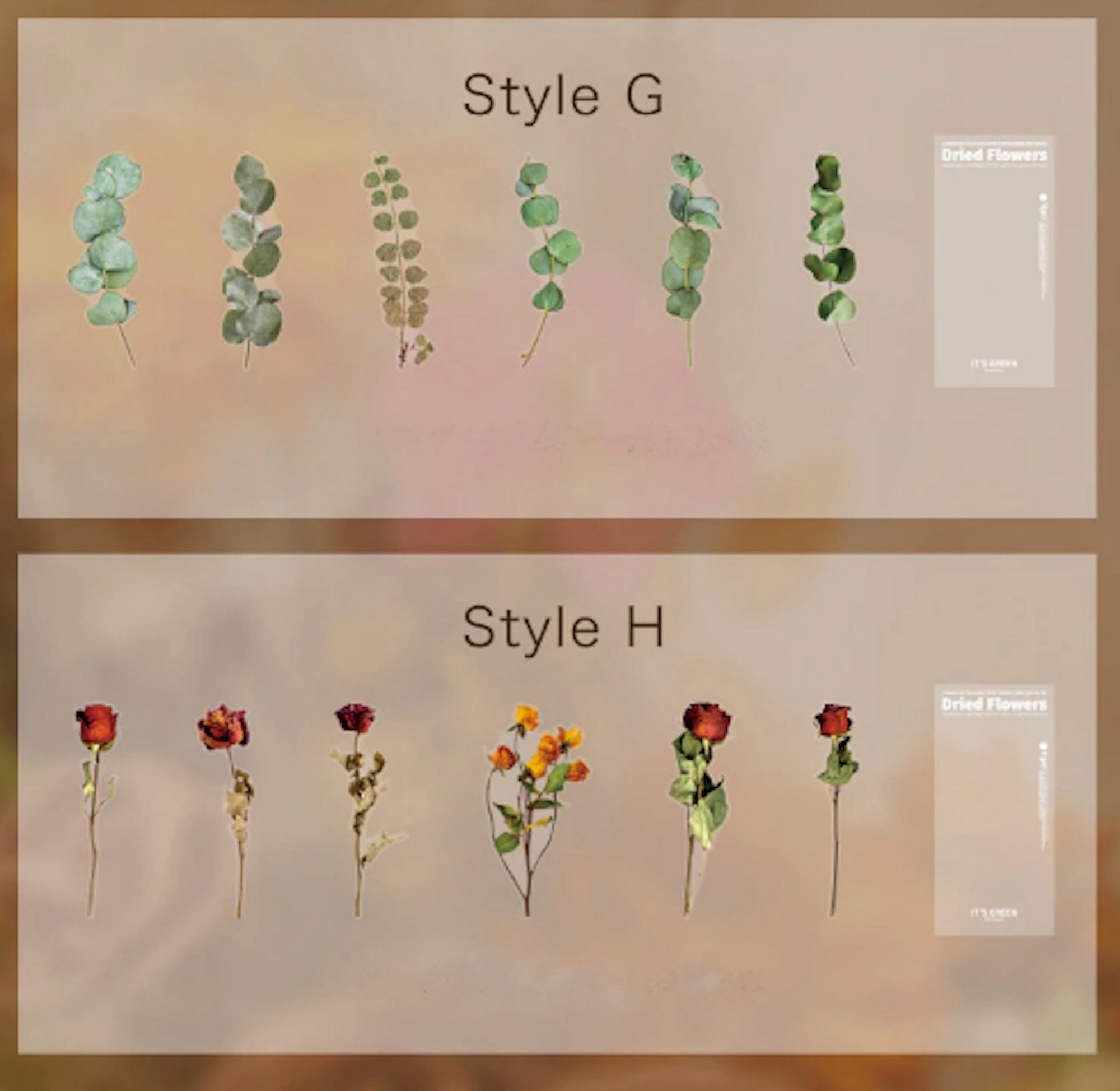 6pc pressed flowers stickers large premium clear stickers with