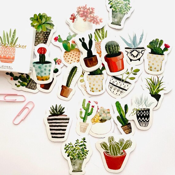 Mini Paper Stickers 45pc Box Set: Watercolor Houseplants & Geometric Designs
