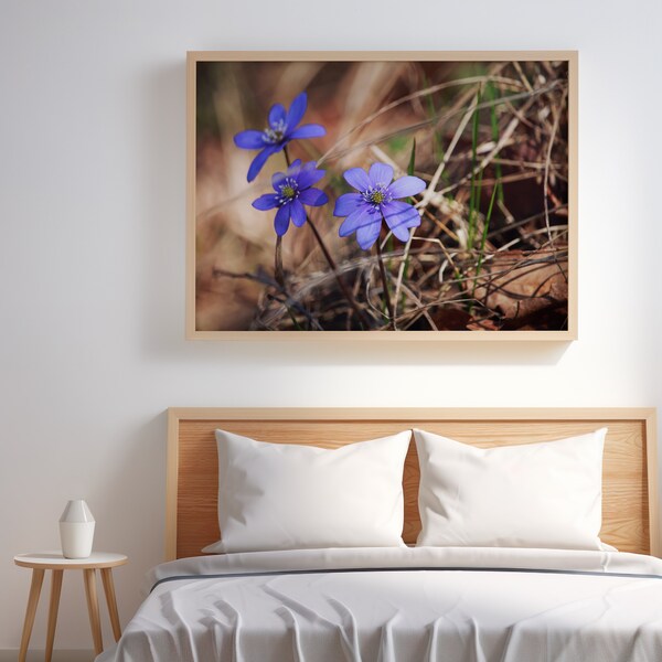 Flower photography print | Flower Wall Art | Flower Poster | Flower Digital Download | Liverwort