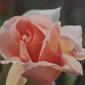 Flower Rose Oil Painting | Original Art | Contemporary | Pink Rose | Realistic Floral Wall Art | Nature Artwork - ‘Bloom’