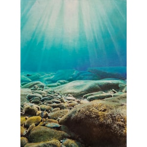 Calming Ocean Floor Realistic Oil Painting| Original Wall Art |"Hidden Depths" - Seascape, Sealife Nature Art | Wood Paneling | Perfect Gift