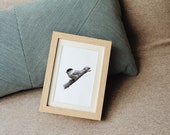 Adorable Bird on Branch | Digital Art Print Download | Printable Wall Art | Instant Art | Animal Display | Cute | Wildlife Decor | PDF
