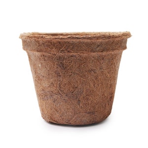 May include: A brown, biodegradable, coconut coir pot for planting. The pot is made from natural fibres and is designed to decompose over time.