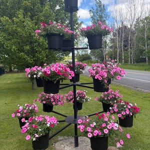 May include: A black metal tiered plant stand filled with vibrant pink and white petunias. The stand has multiple levels, each holding a black pot overflowing with colorful flowers. The arrangement is set outdoors on a grassy area, with a road and trees in the background.