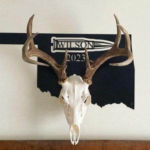 European Skull Mount - State Outline Personalized Skull Mount - Skull Mount - European Mount - Any State Outline - Gift for Hunter