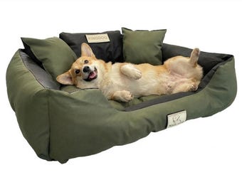 Green Odor-Resistant Dog Bed - Waterproof & Anti-Allergic Codura | Concept Crystal