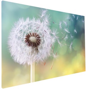 Wall Planner Whiteboard, Magnetic Dry-Erase Board for Home Office : Dandelion