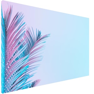 Wall Planner Whiteboard, Magnetic Dry-Erase Board for Home Office : Tropical leaves