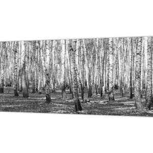Large format horizontal backsplash - magnetic and non magnetic tempered glass Nature Series: Birch forest