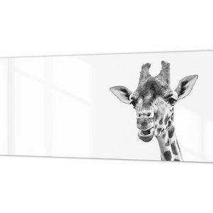 Wide format Wall panel with magnetic and non-magnetic metal sheet backing: Black and white giraffe