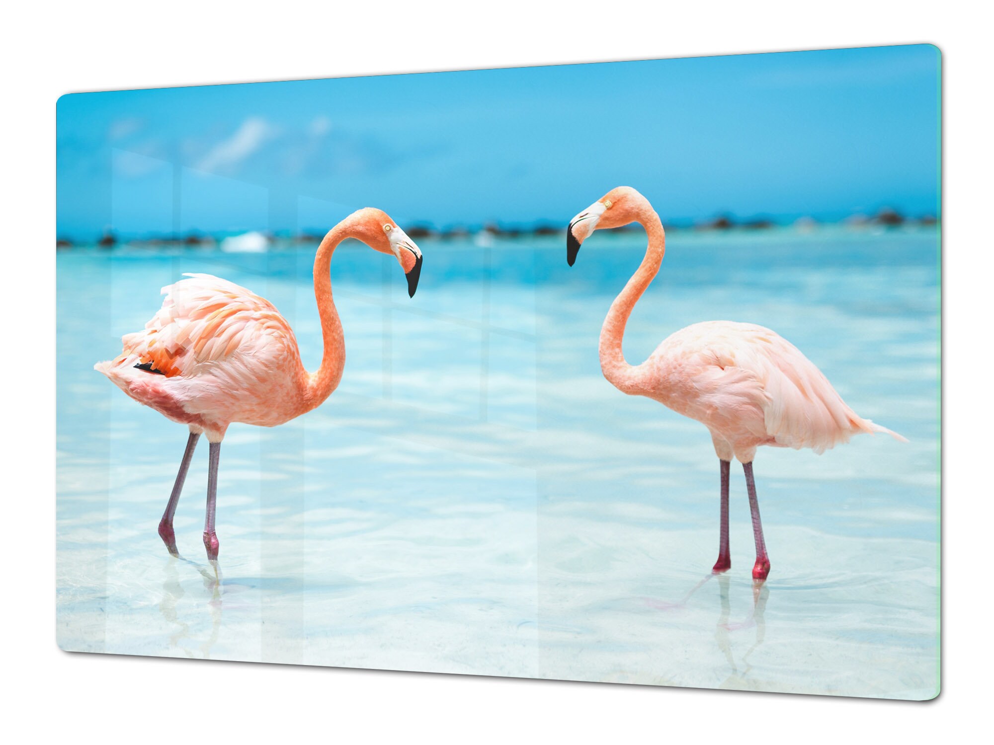 Gigantic KITCHEN BOARD & Induction Cooktop Cover Flamingos 