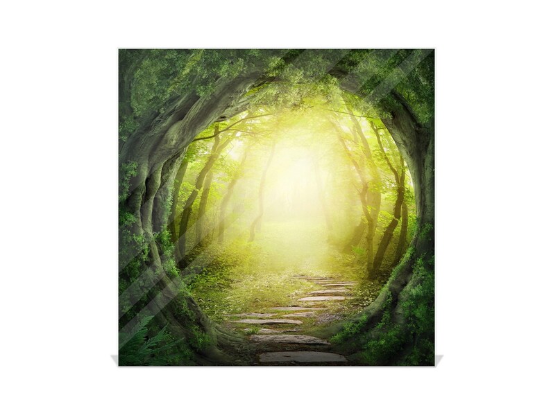 May include: A path through a lush green forest with sunlight shining through the trees. The path is made of stone and leads to a bright light at the end of the forest.