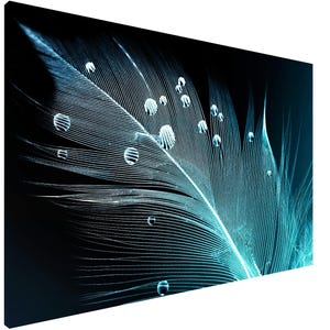 Wall Planner Whiteboard, Magnetic Dry-Erase Board for Home Office : Feather water drops