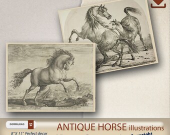 Vintage Thoroughbred Horse Images - Horse posters  - antique horse print- horse wall art