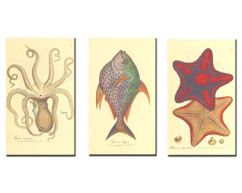 Scrapbooking vintage posters marine life art journal stickers clipart