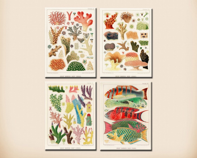 Scrapbooking vintage posters marine life art journal stickers clipart