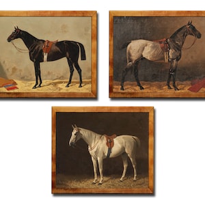 Imágenes de caballos pura sangre antiguos - Pósteres de caballos - Grabados antiguos de caballos - Arte mural de caballos