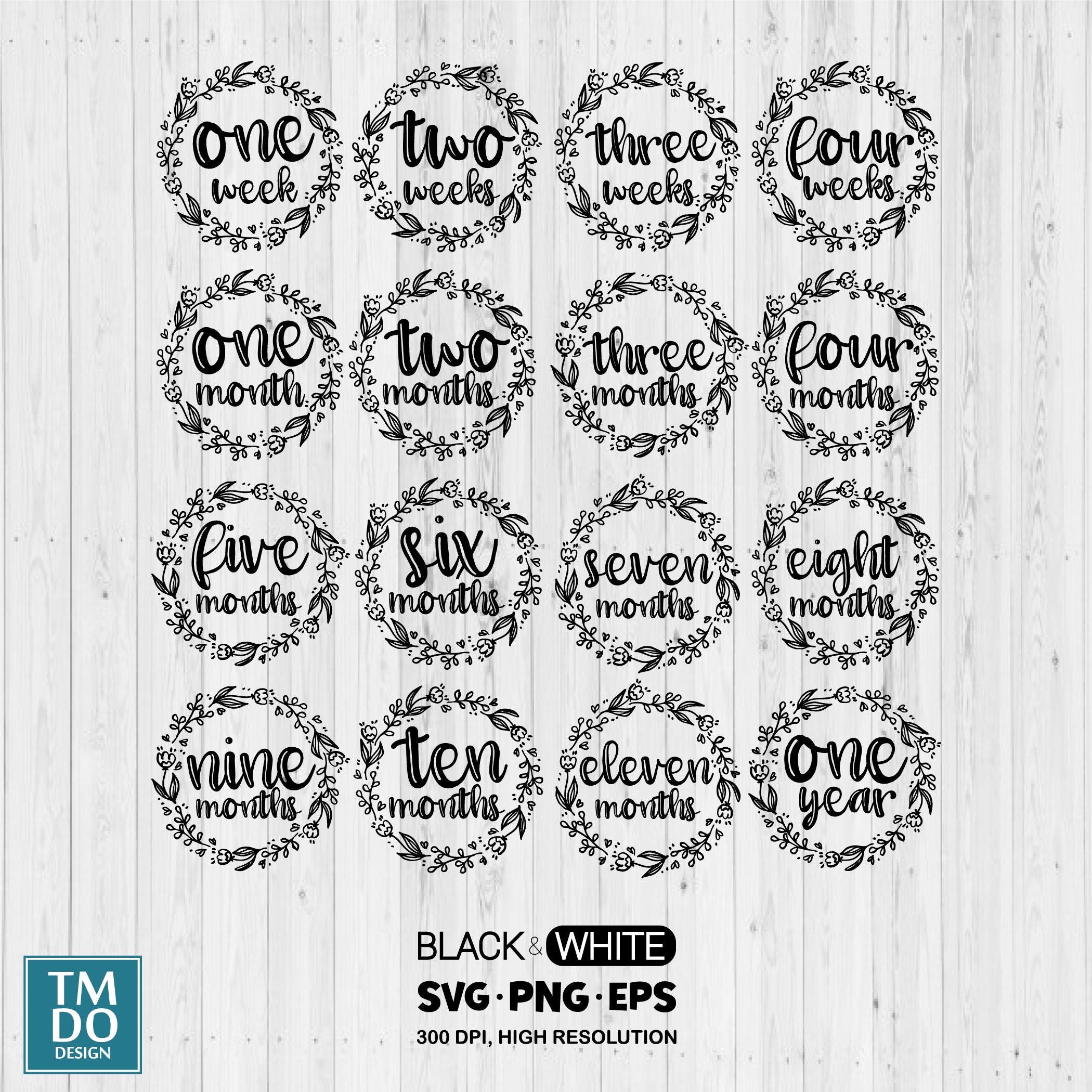 Baby Milestone Rounds SVG Bundle, Birth Milestones Bundle, Newborn Sign ...