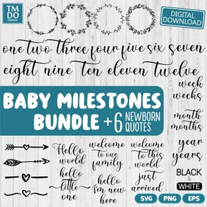 Baby milestone SVG bundle, Monthly milestone svg