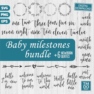 Baby Milestone Svg Bundle, Monthly Milestone SVG, Baby svg Bundle, Baby Quotes svg, Nursery Sign svg, Newborn Sign Svg