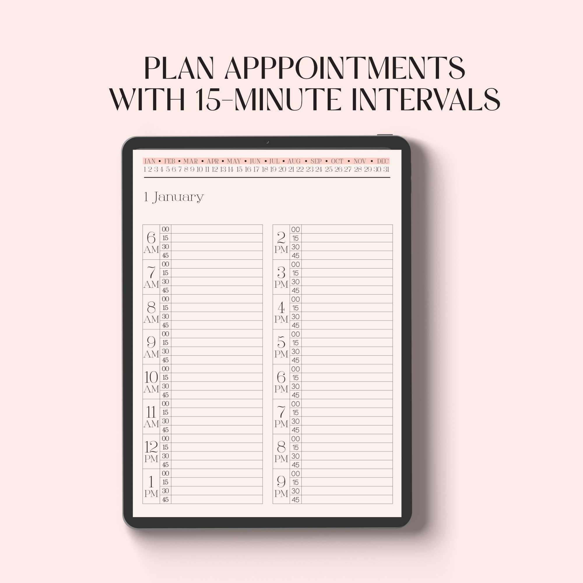 Digital Appointment Planner With 15minute Intervals, Meeting Planner