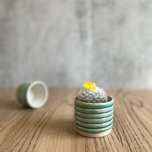Può includere: Un piccolo vaso in ceramica bianca con strisce verdi, con un cactus peloso con un fiore giallo.