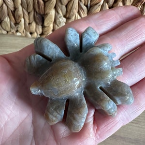 Ocean Jasper Spider