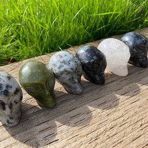 May include: Six small, carved alien skull sculptures made of various stones. The skulls are arranged in a row on a wooden surface. The stones include green, black, white, and speckled.