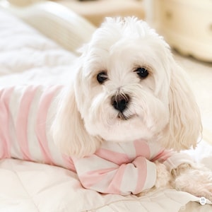 Miss Teddy lays down in the Pink & White Striped Onesie with White Cuffs.