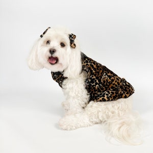Leopard Print Dog Dress for Small Dogs | Dog Clothes for special occasions | Luxury Dog Outfit | Clothing for pets | animal print harness
