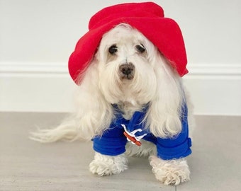 Paddington Bear Dog Costume | Paddington Bear dog outfit | Small Dog Costume | Pet gifts for dogs | novelty gift for dogs | pet parent