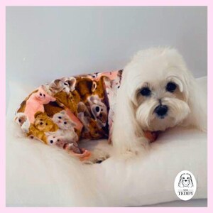 May include: A white Maltese dog wearing a pink and brown pajamas with a print of cartoon animals. The dog is lying on a white pillow with the text "Miss Teddy" on it.