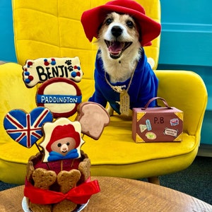 Miss Teddy customers model the Paddington Bear Outfit with a blue overcoat complete with white wooden toggles and a large oversized red hat just like Paddington.