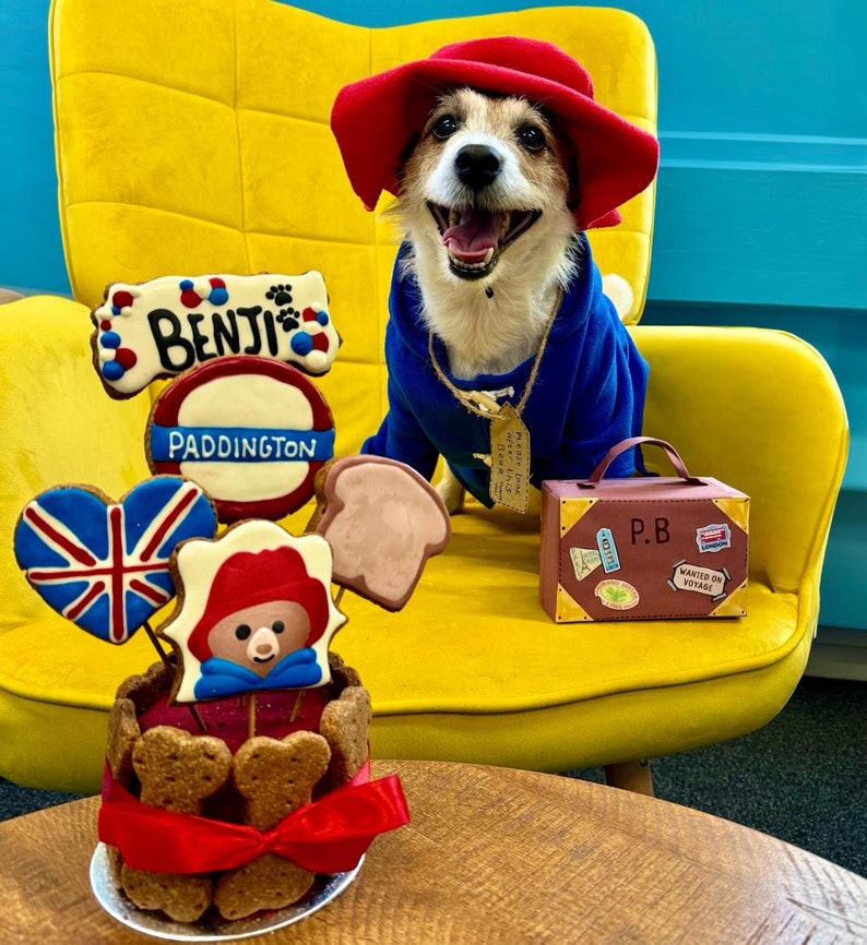 Miss Teddy customers model the Paddington Bear Outfit with a blue overcoat complete with white wooden toggles and a large oversized red hat just like Paddington.