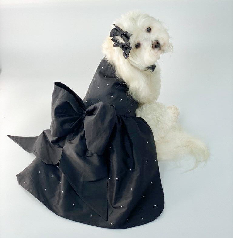 elegant fancy dog dresses Pet Princess Lace Dress – Elegant & Sweet – Cudlarpets main image 1