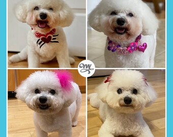 Dog Tear Stain Remover Dog Skin Care Eye Care Cleaning Pet