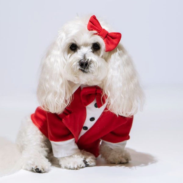 Luxury Red Dog Tuxedo Outfit | Small Dog Wedding Attire | Puppy Clothing Tux | Valentines Custom Dog Clothing | Dog Ring Bearer Duty
