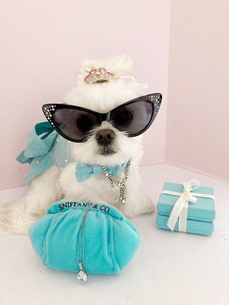 Miss Teddy wears the blue dress wearing some large oversized sunglasses.